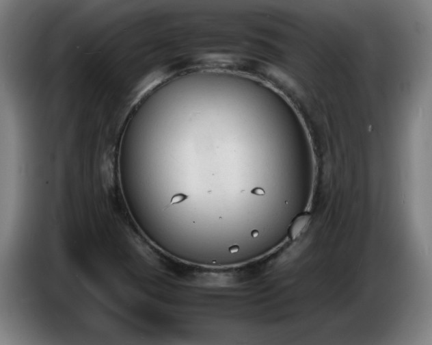 X0000086721409200704201617