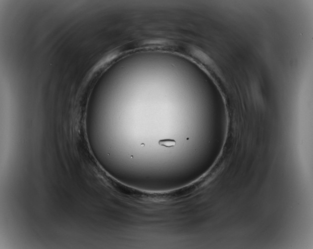 X0000086721411200704201617