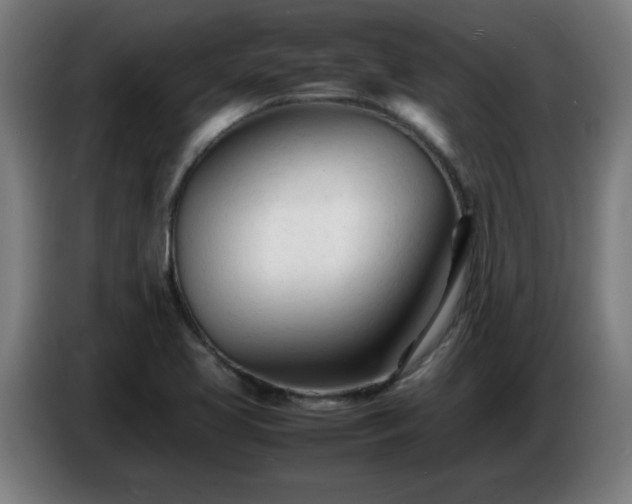 X0000086721413200704201617