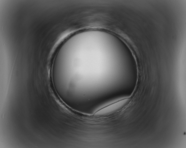 X0000086721416200704201617