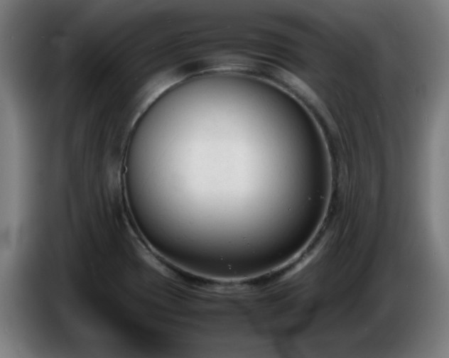 X0000086721417200704201617