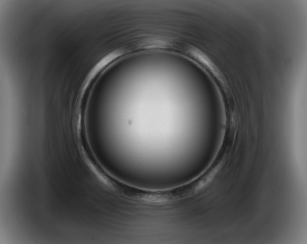 X0000086721418200704201618