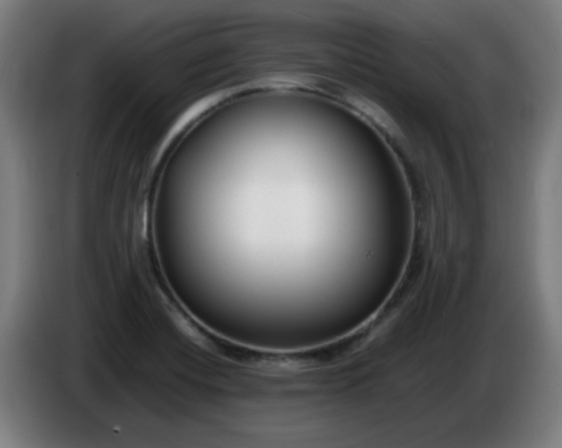 X0000086721420200704201618