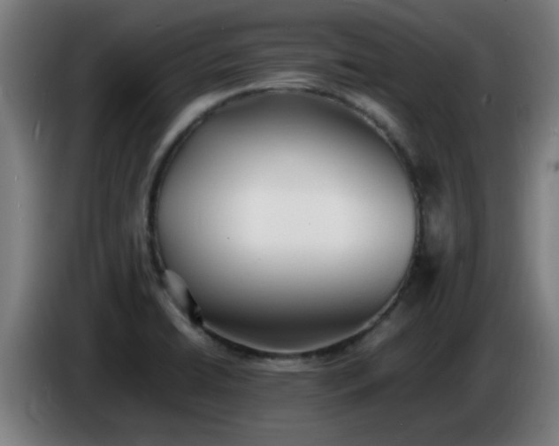 X0000086721422200704201618