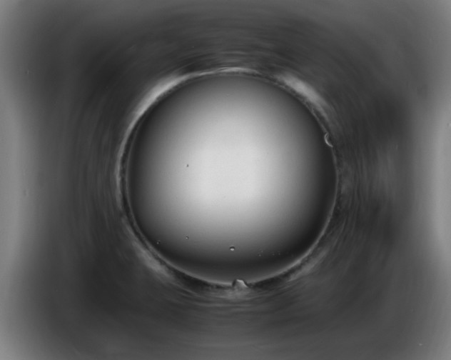 X0000086721423200704201618