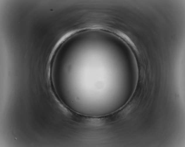 X0000086721424200704201618