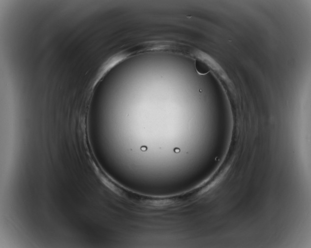X0000086721425200704201618
