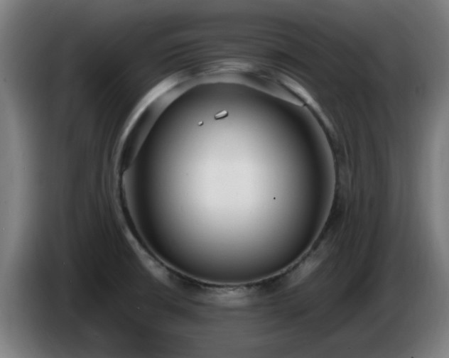 X0000086721426200704201618