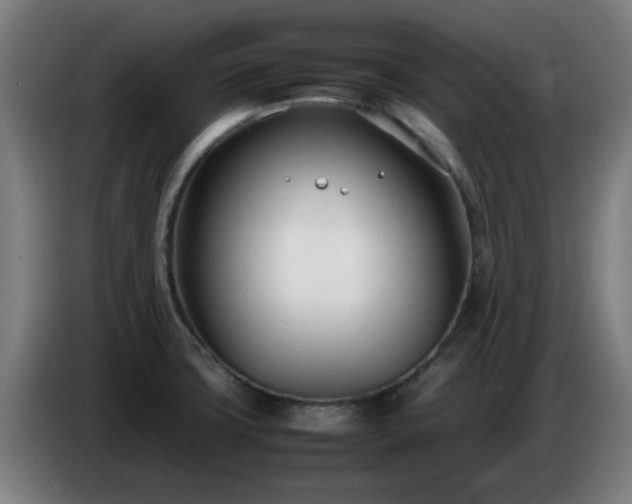 X0000086721427200704201618