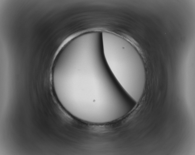 X0000086721428200704201618