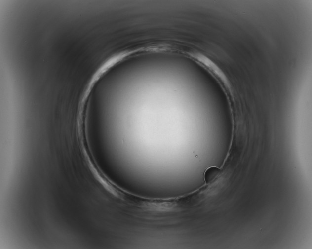 X0000086721429200704201618