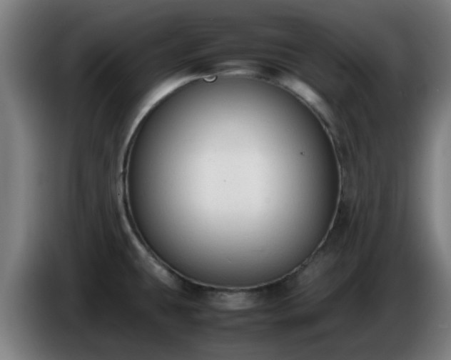 X0000086721431200704201618