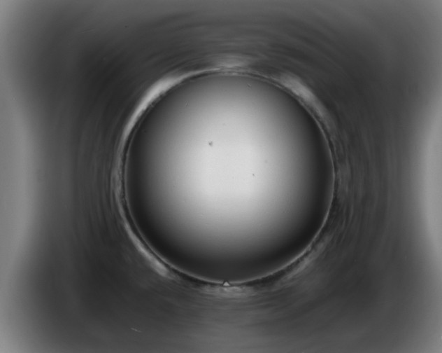 X0000086721432200704201618