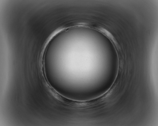 X0000086721435200704201618