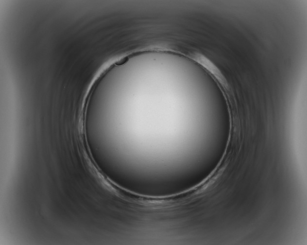 X0000086721436200704201618
