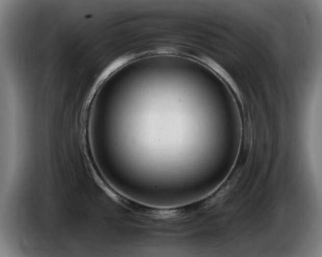 X0000086721437200704201618
