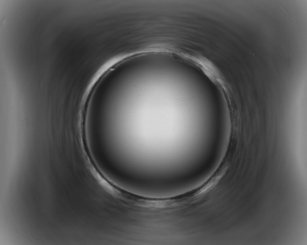 X0000086721438200704201618