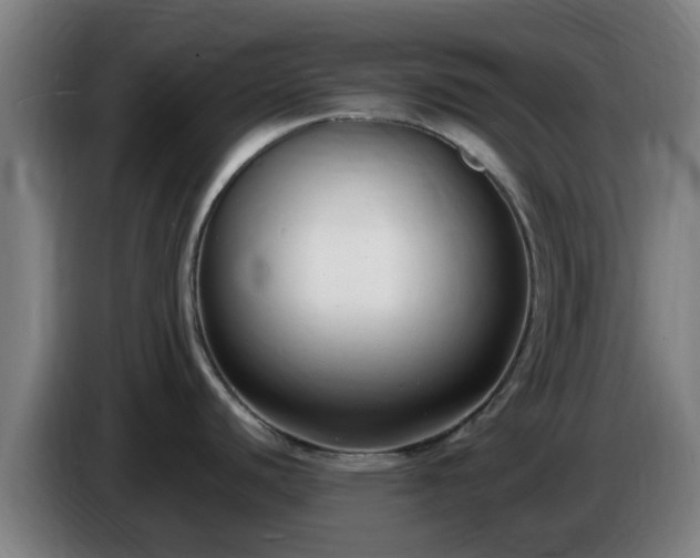 X0000086721440200704201618