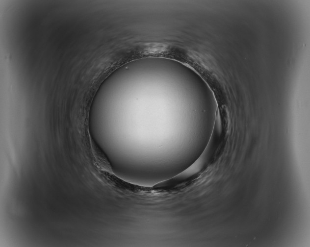 X0000086721441200704201617