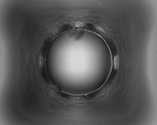 X0000086721443200704201617