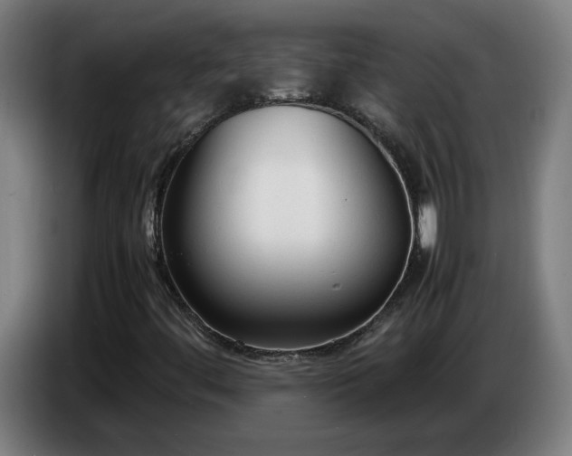 X0000086721444200704201617