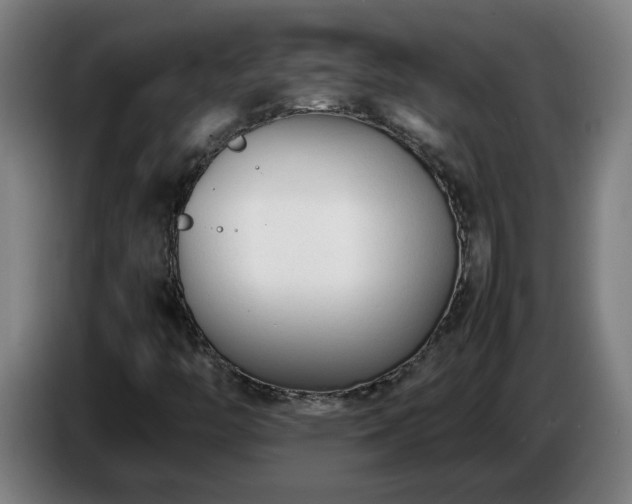 X0000086721446200704201617