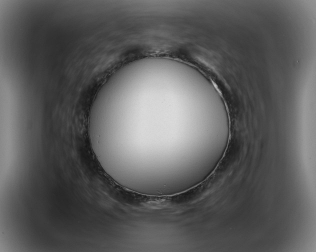 X0000086721447200704201617