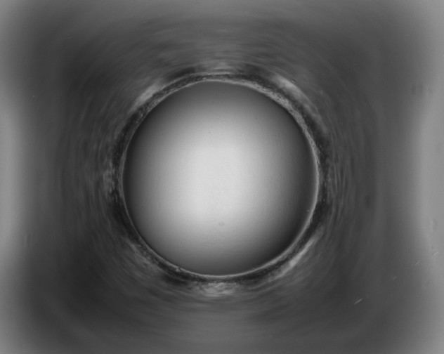 X0000086721449200704201617