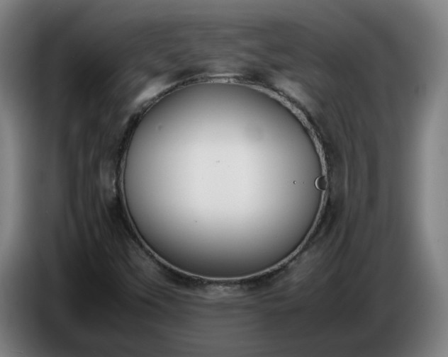 X0000086721451200704201617