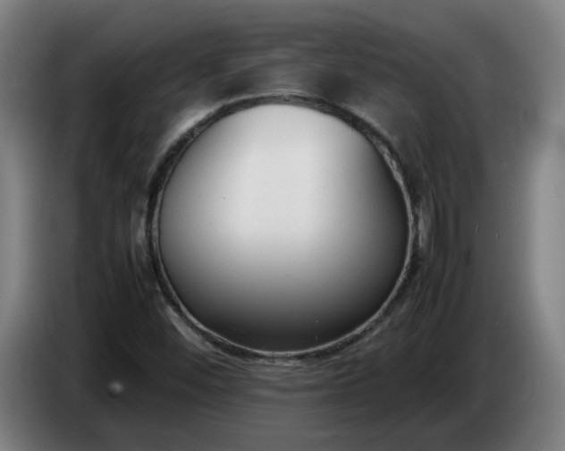 X0000086721452200704201617