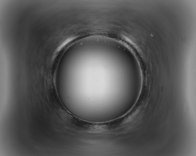 X0000086721453200704201617