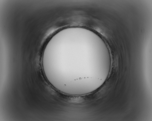 X0000086721454200704201617