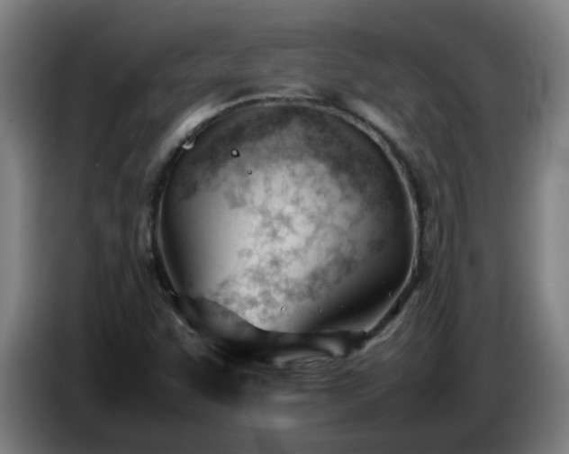 X0000086721455200704201617