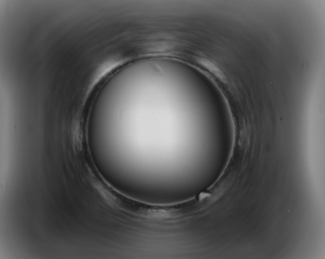 X0000086721458200704201617