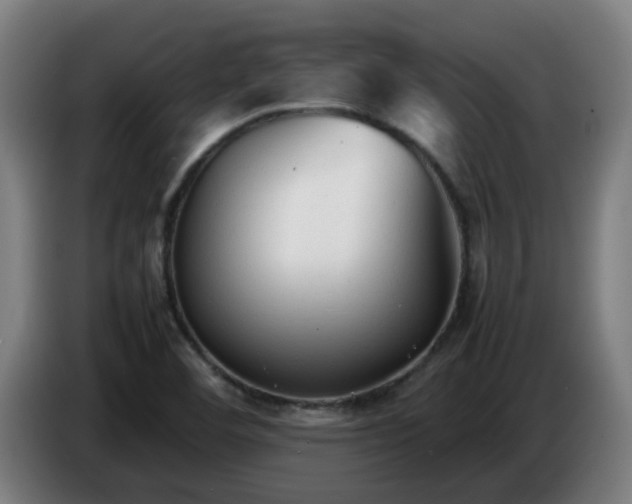 X0000086721460200704201617