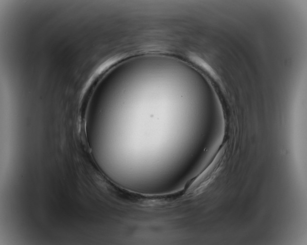 X0000086721461200704201617