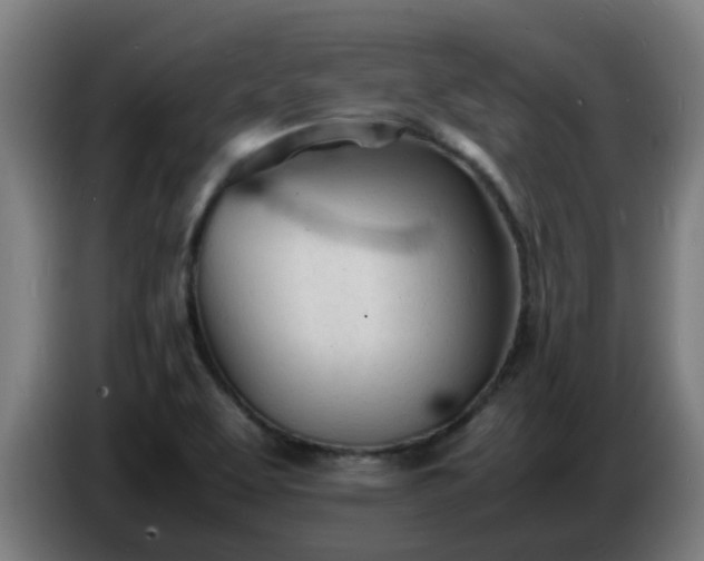X0000086721463200704201617