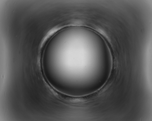 X0000086721464200704201617