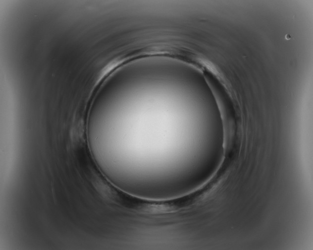 X0000086721465200704201617