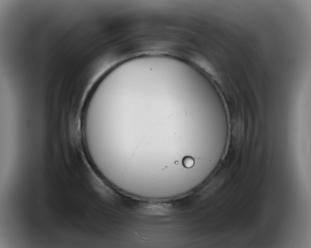 X0000086721466200704201617