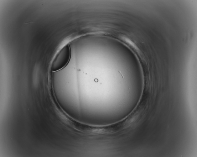 X0000086721467200704201617