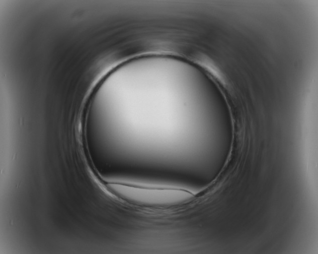 X0000086721468200704201617
