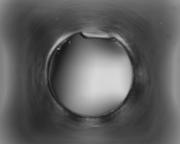 X0000086721469200704201617