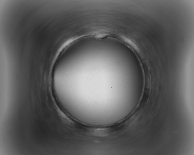 X0000086721471200704201617