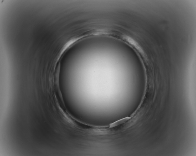 X0000086721473200704201617