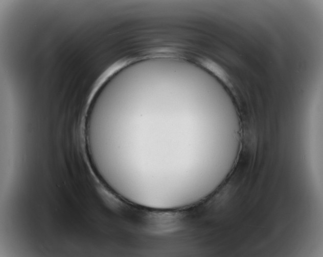 X0000086721474200704201617