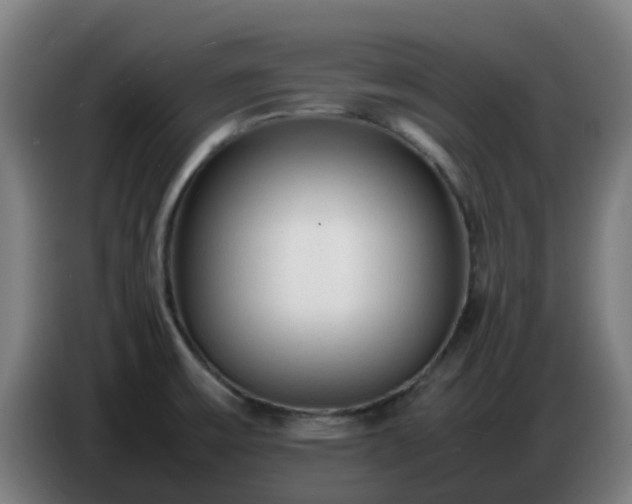 X0000086721475200704201617