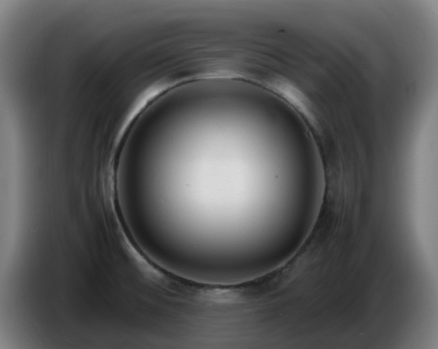 X0000086721476200704201617
