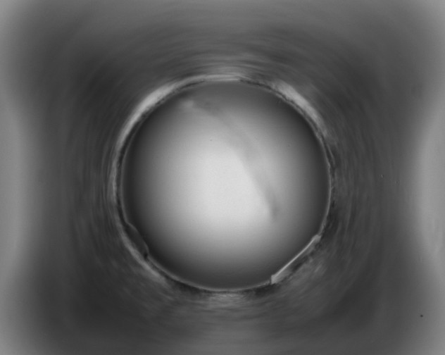 X0000086721477200704201617