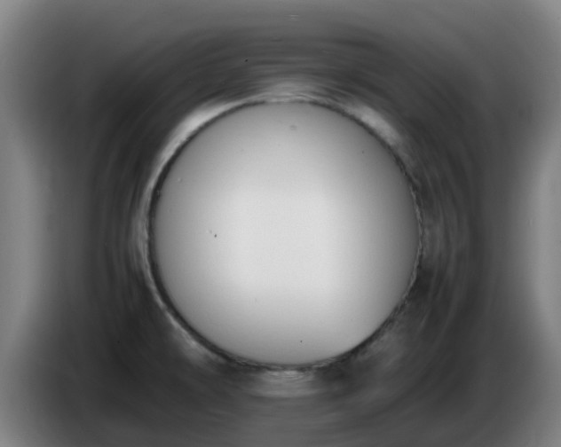 X0000086721478200704201617